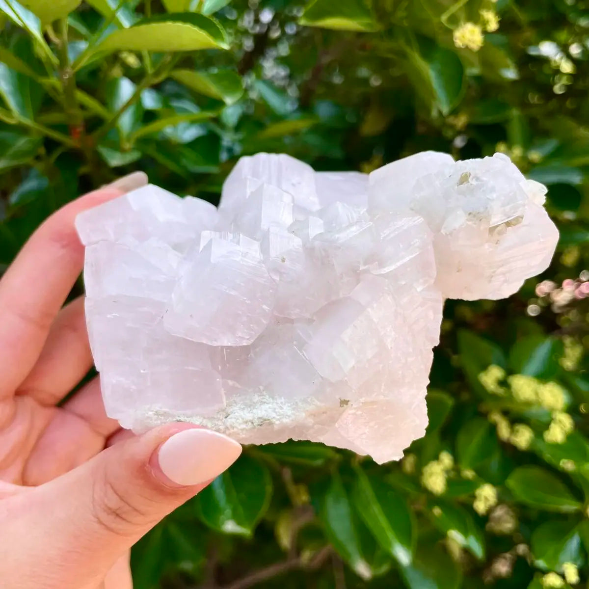 Yaogangxian Pink Calcite Foliated Crystal Cluster | Natural Pink Calcite Mineral Specimen | 470 g | 11*10*5 cm