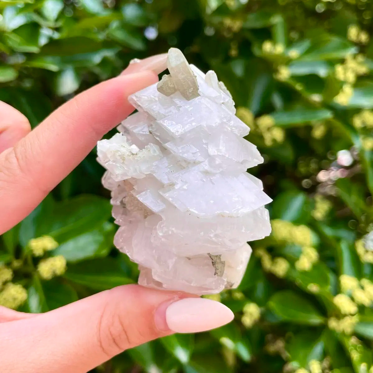 Yaogangxian Pink Calcite Foliated Crystal Cluster | Natural Pink Calcite Mineral Specimen | 120 g | 7*5.5*4 cm
