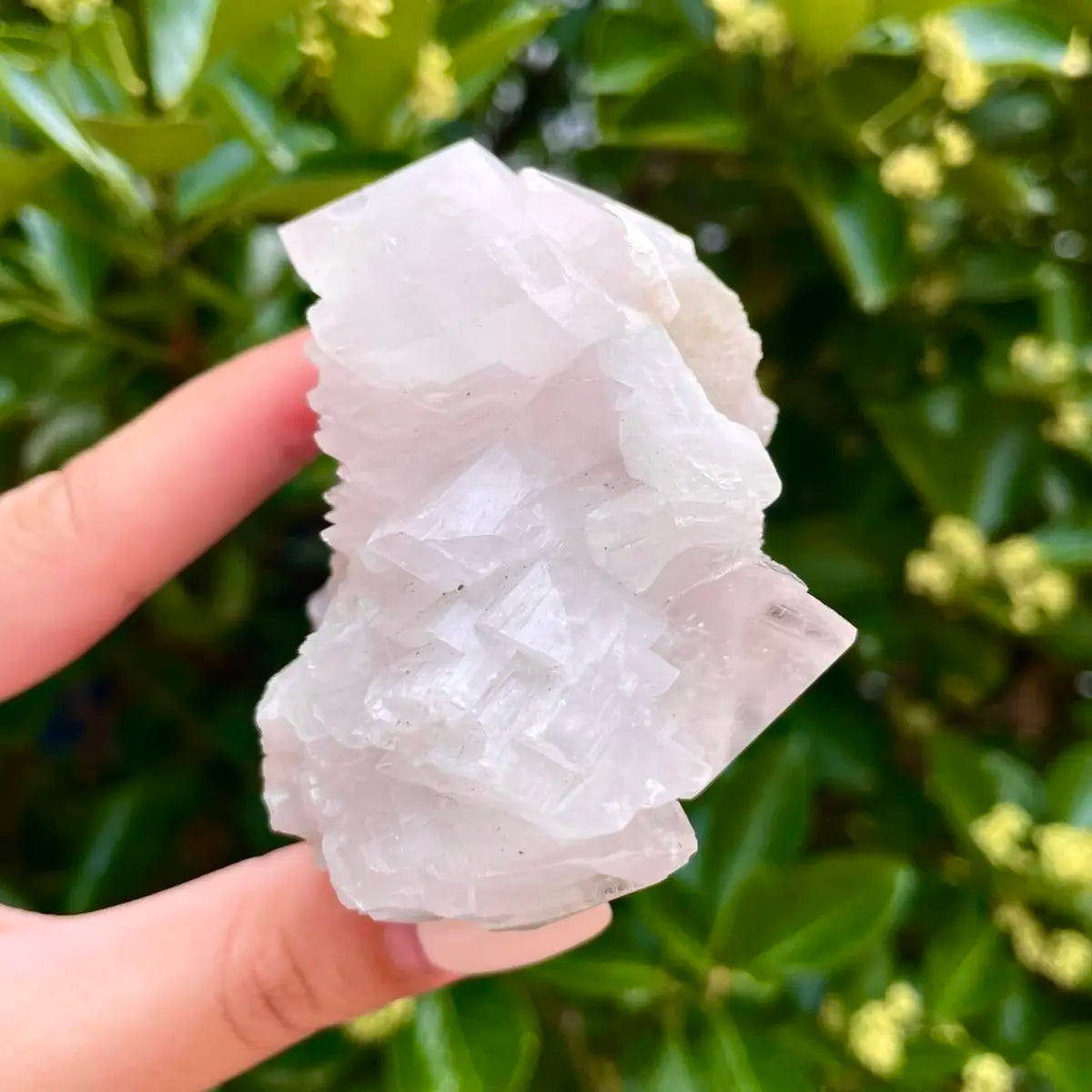 Yaogangxian Pink Calcite Foliated Crystal Cluster | Natural Pink Calcite Mineral Specimen | 210 g | 8*7*5 cm