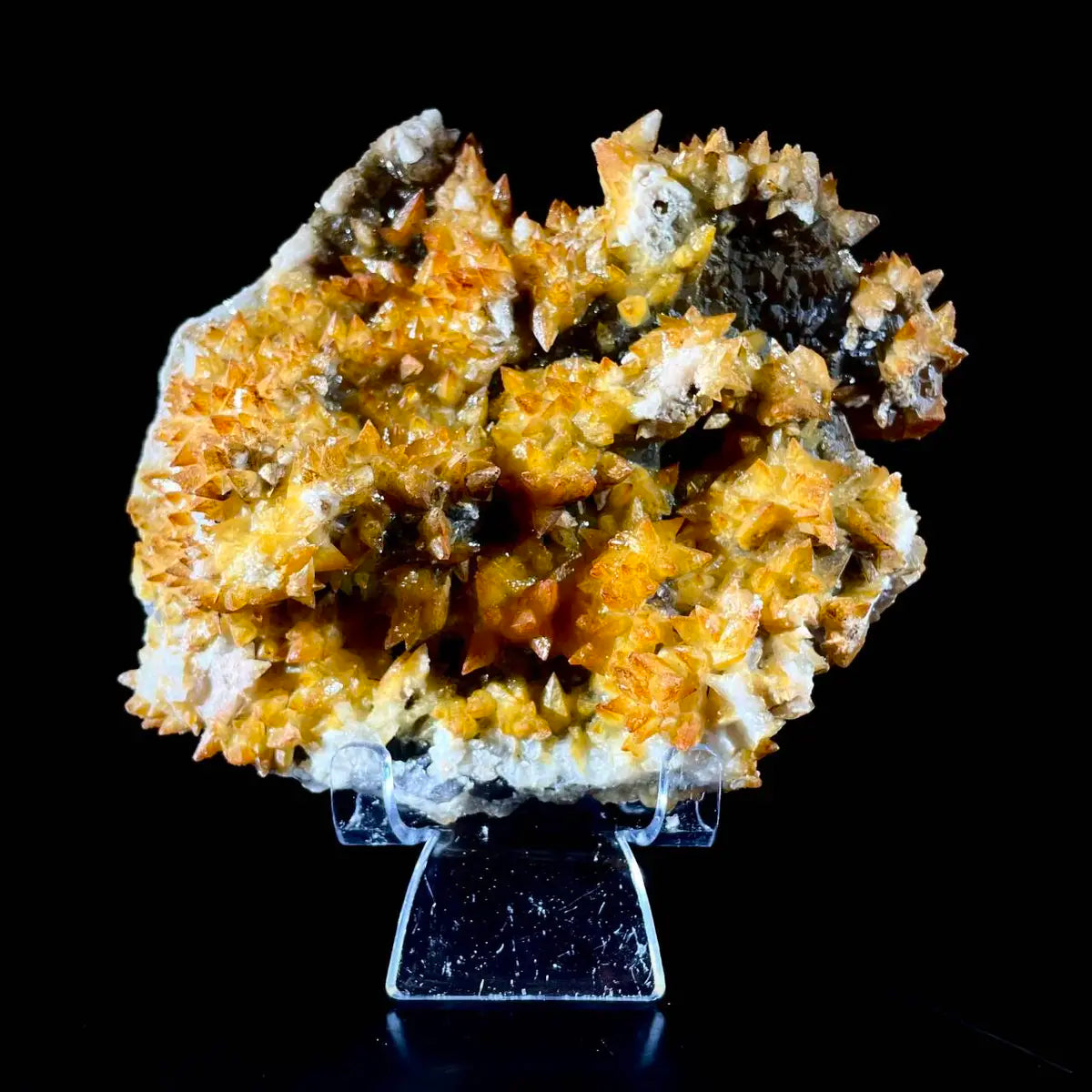 Natural Dogtooth Calcite with Selenite  on Matrix | Rare Mineral Association Specimen | Mineral Collection | 770 g | 14*12.5*6 cm