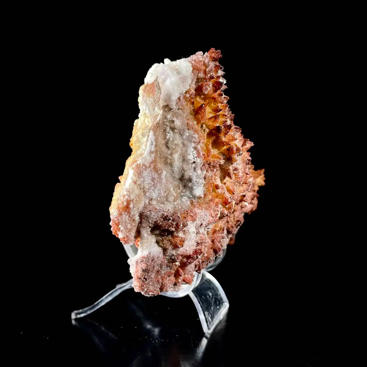 Natural Dogtooth Calcite with Selenite  on Matrix | Rare Mineral Association Specimen | Mineral Collection | 890 g | 15*11.5*5 cm