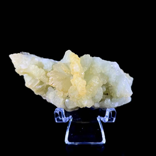 Botryoidal Prehnite from China | Natural Mineral Specimen Display Piece | 50 g | 6.5*3*3 cm