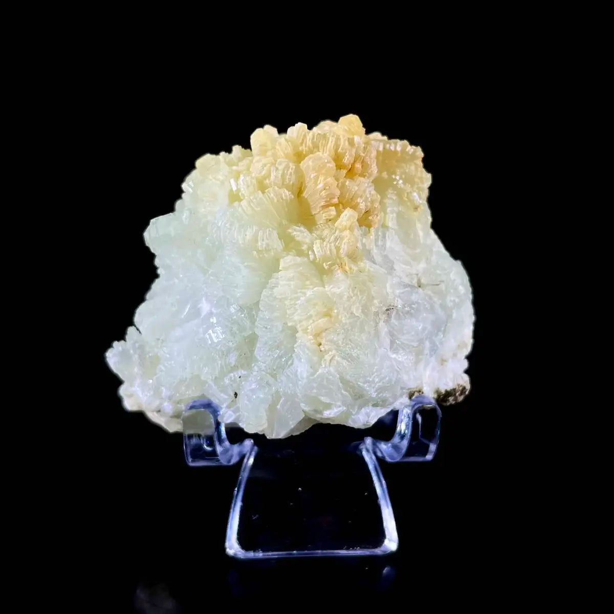 Botryoidal Prehnite from China | Natural Mineral Specimen Display Piece | 60 g | 4*3.5*3 cm