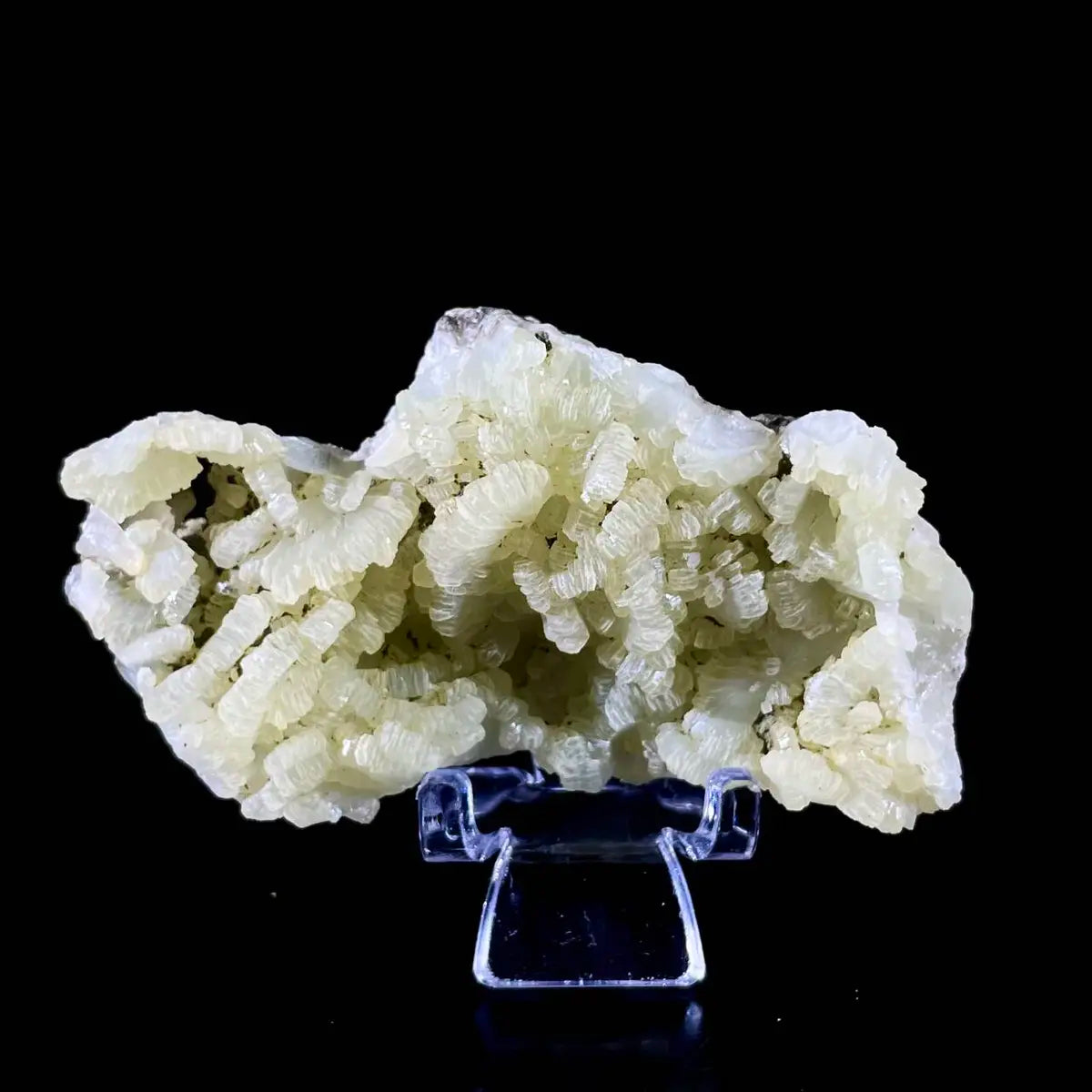 Botryoidal Prehnite from China | Natural Mineral Specimen Display Piece | 90 g | 8*4.5*2.5 cm