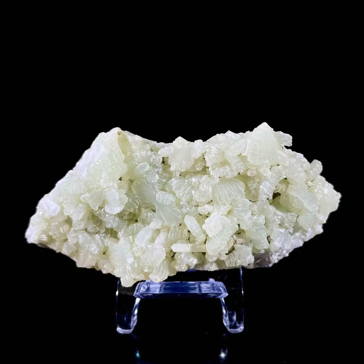 Botryoidal Prehnite from China | Natural Mineral Specimen Display Piece | 60 g | 7.5*3.5*2 cm