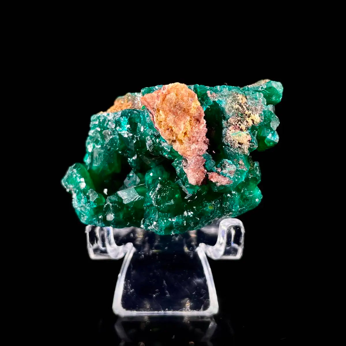 Dioptase Botryoidal Crystal Cluster | Natural Green Copper Carbonate Mineral Specimen | 40 g | 4*3*2.5 cm