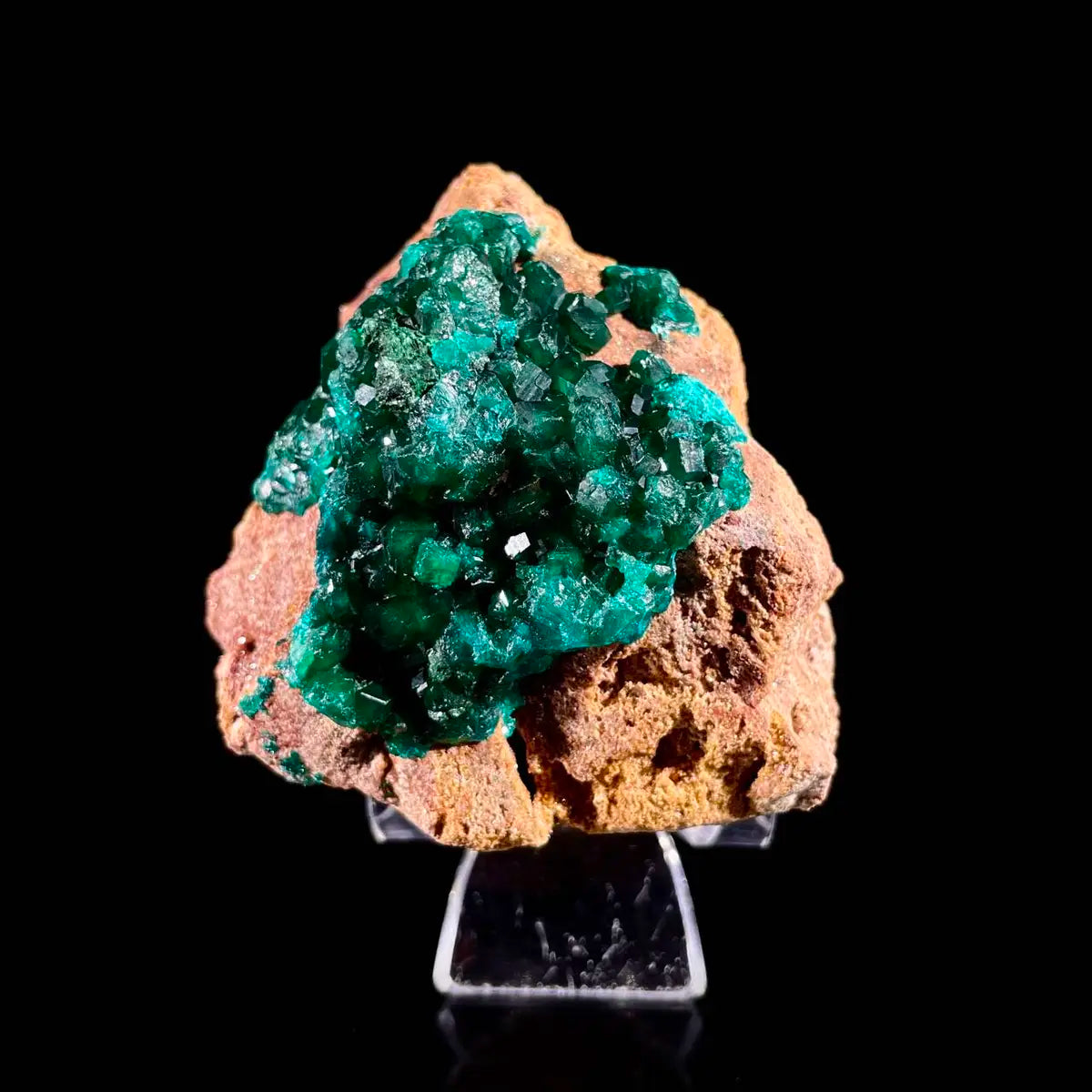 Dioptase Botryoidal Crystal Cluster | Natural Green Copper Carbonate Mineral Specimen | 220 g | 7.5*6.5*6 cm