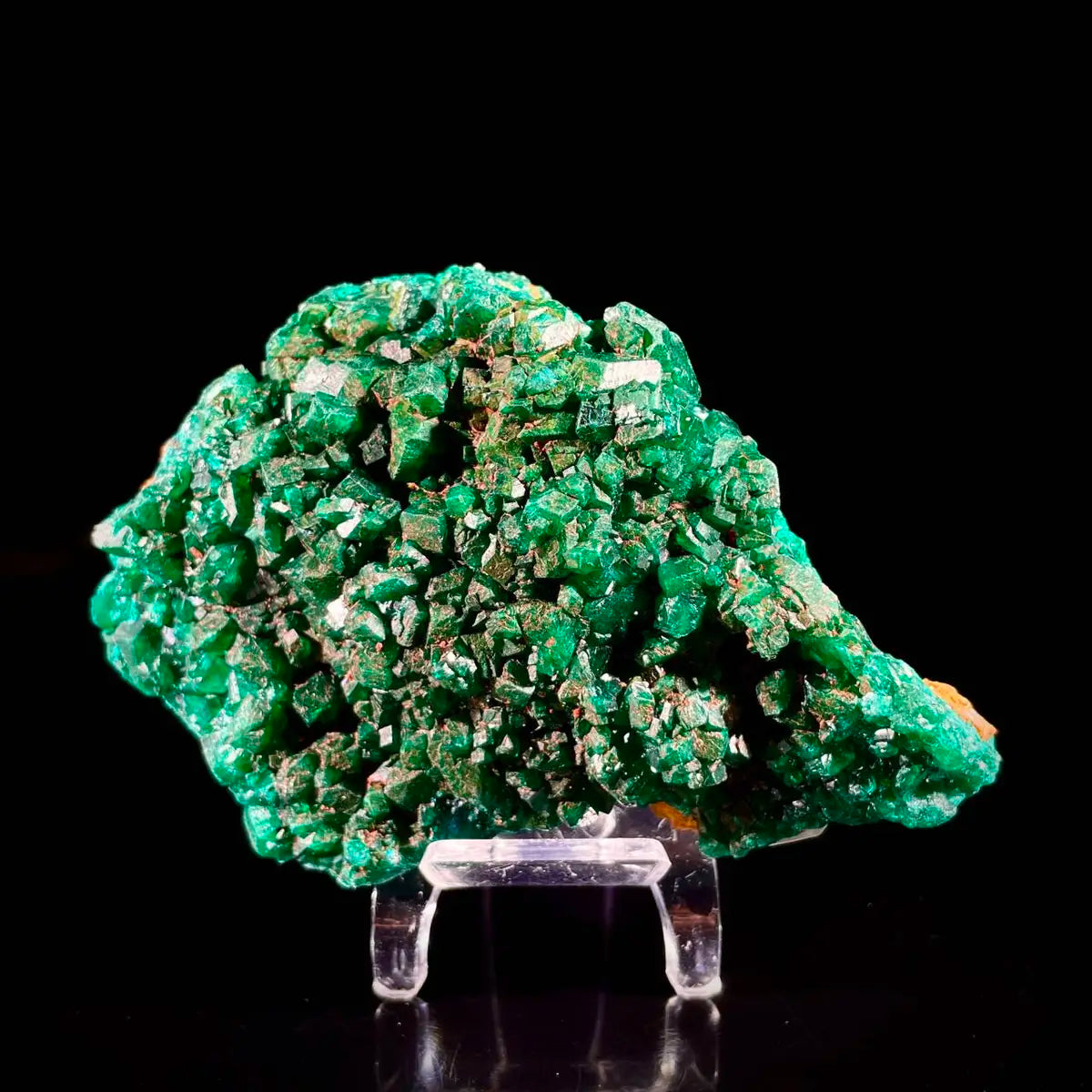 Dioptase Botryoidal Crystal Cluster | Natural Green Copper Carbonate Mineral Specimen | 350 g | 12*8*3.5 cm