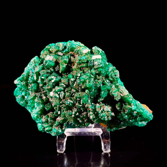 A824-Dioptase Botryoidal Crystal Cluster | Natural Green Copper Carbonate Mineral Specimen | 350 g | 12*8*3.5 cm