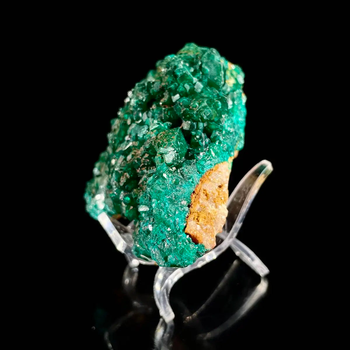 Dioptase Botryoidal Crystal Cluster | Natural Green Copper Carbonate Mineral Specimen | 350 g | 12*8*3.5 cm