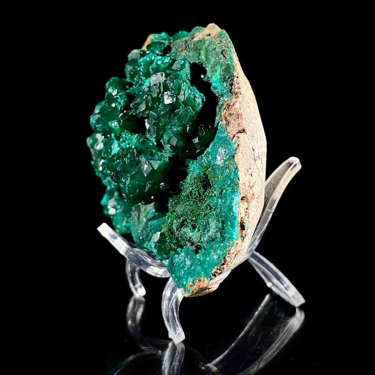 Dioptase Botryoidal Crystal Cluster | Natural Green Copper Carbonate Mineral Specimen | 300 g | 10*7*4 cm
