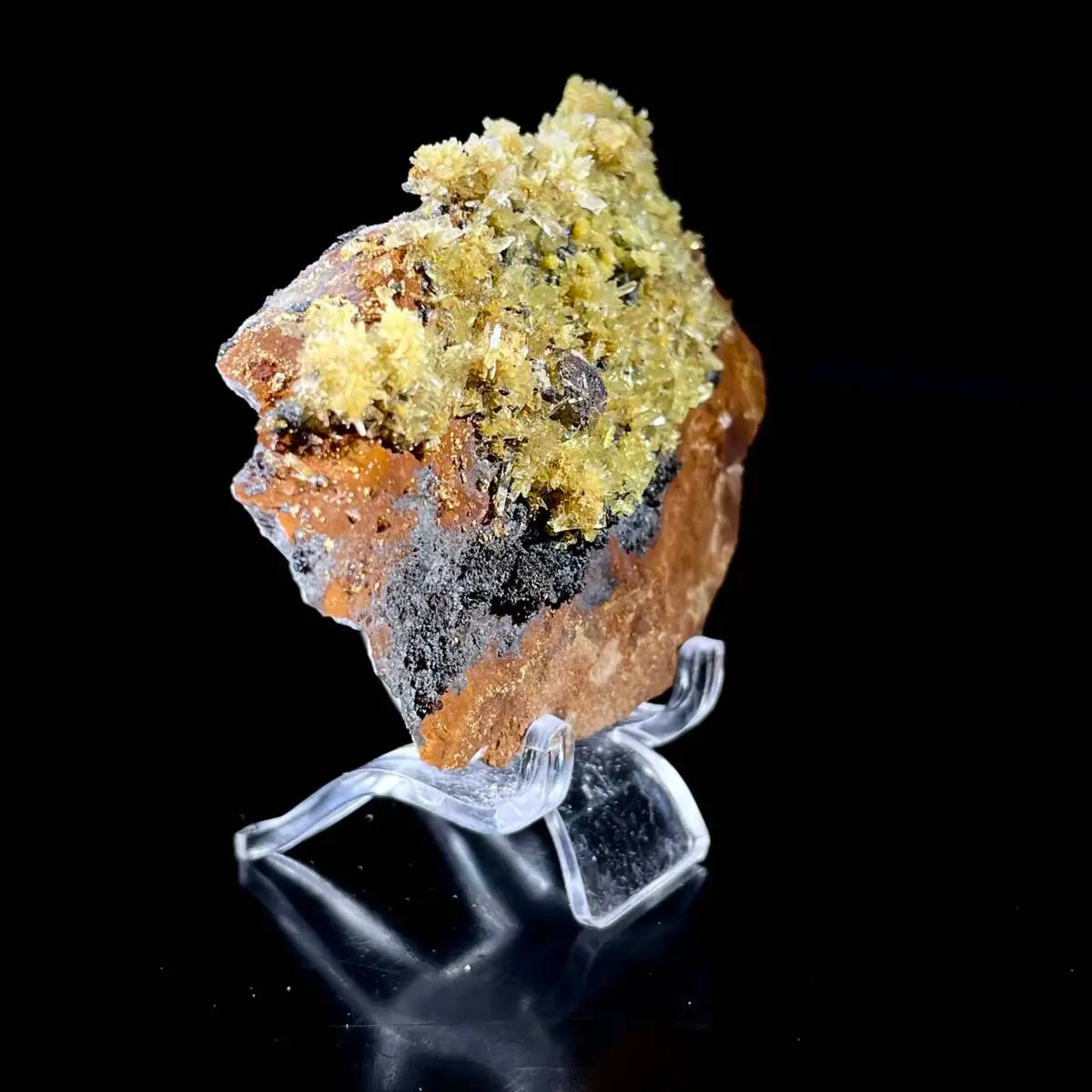 Natural Selenite Flower Crystal from Guizhou, China | Mineral Specimen | 70 g | 7*5.5*1.5 cm