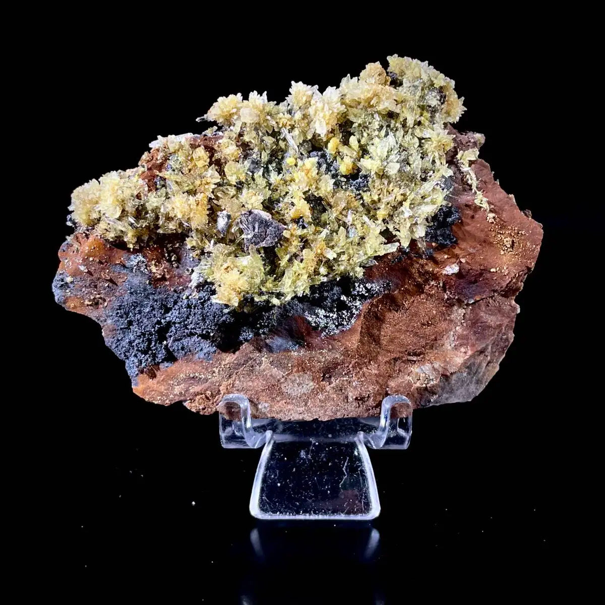 Natural Selenite Flower Crystal from Guizhou, China | Mineral Specimen | 70 g | 7*5.5*1.5 cm