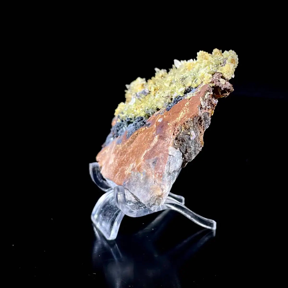 Natural Selenite Flower Crystal from Guizhou, China | Mineral Specimen | 70 g | 7*5.5*1.5 cm