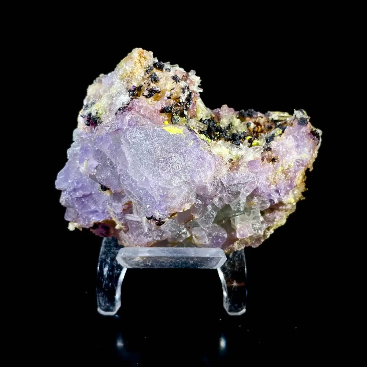 Natural Selenite Flower Crystal from Guizhou, China | Mineral Specimen | 150 g | 7*5.5*3.5 cm
