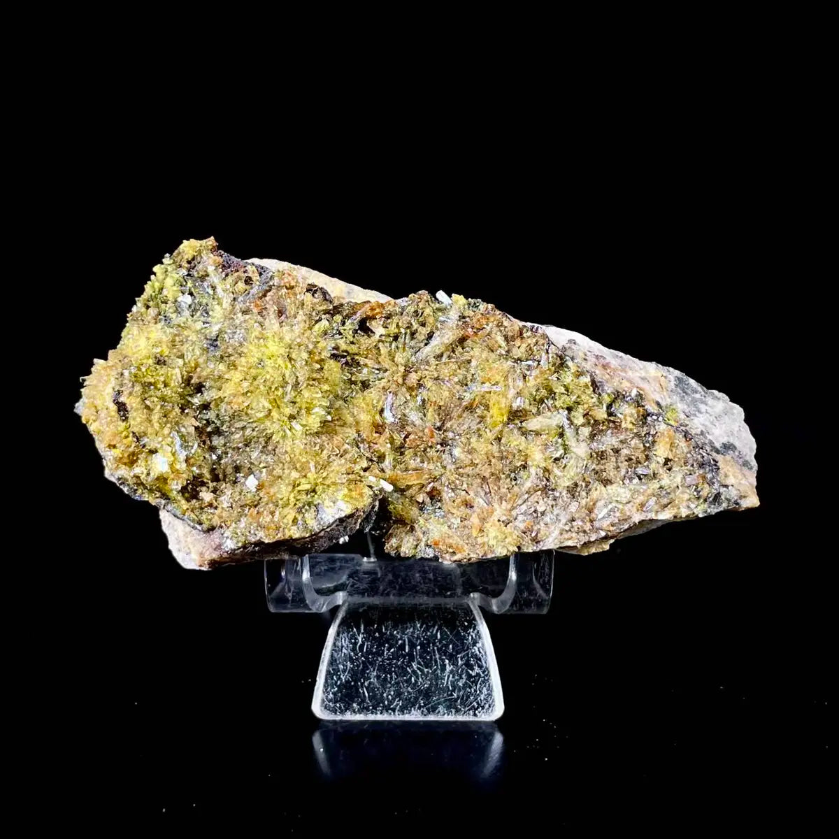 Natural Selenite Flower Crystal from Guizhou, China | Mineral Specimen | 170 g | 11.5*5.5*2.5 cm