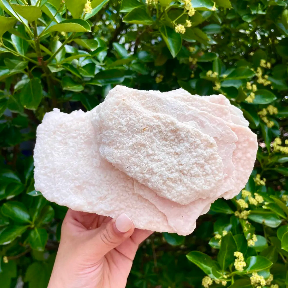 American Light Pink Halite Crystal Cluster | Natural Pink Salt Mineral Specimen from USA | 650 g | 17*11*6.5 cm
