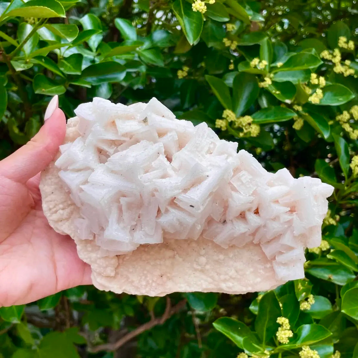 American Light Pink Halite Crystal Cluster | Natural Pink Salt Mineral Specimen from USA | 650 g | 17*11*6.5 cm