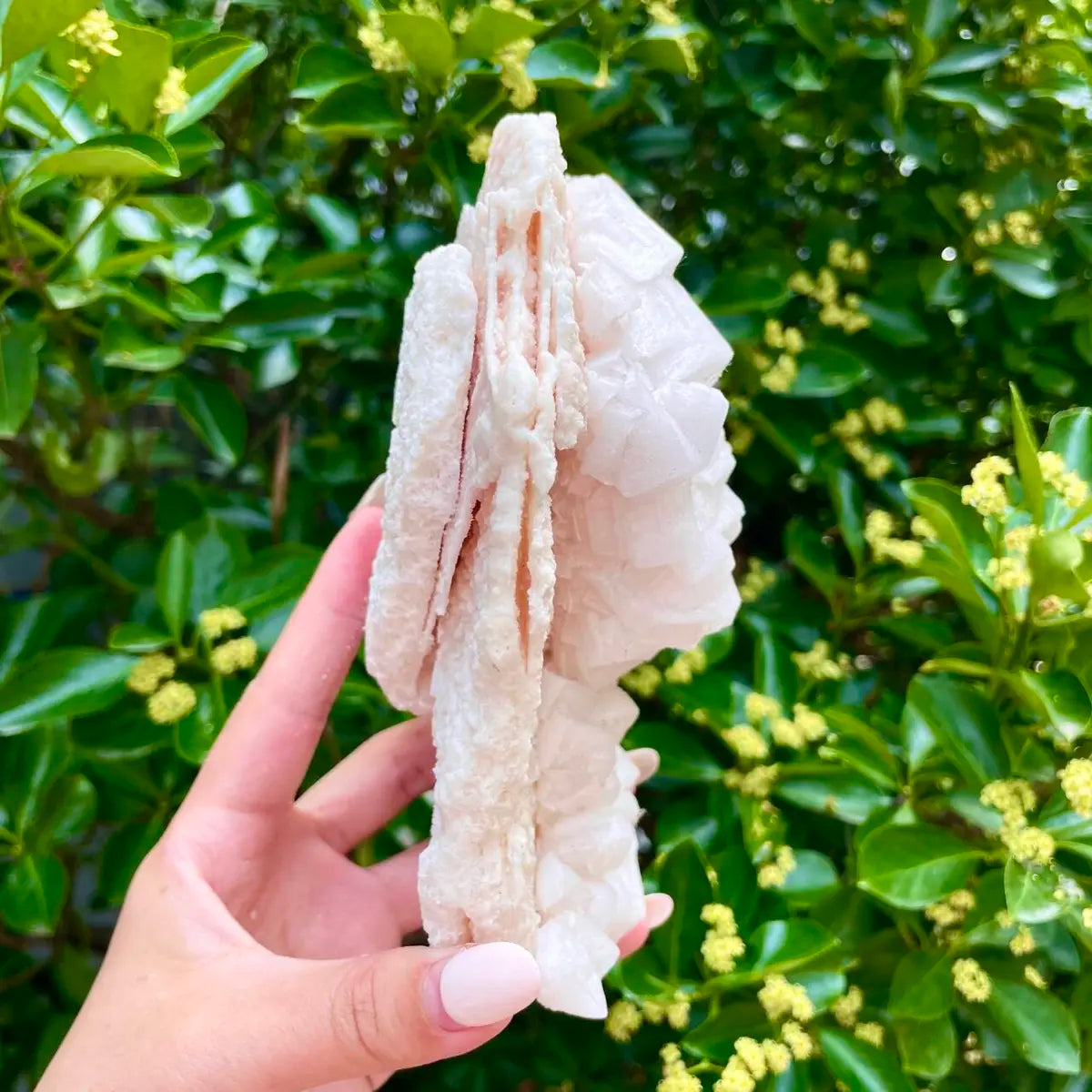 American Light Pink Halite Crystal Cluster | Natural Pink Salt Mineral Specimen from USA | 650 g | 17*11*6.5 cm