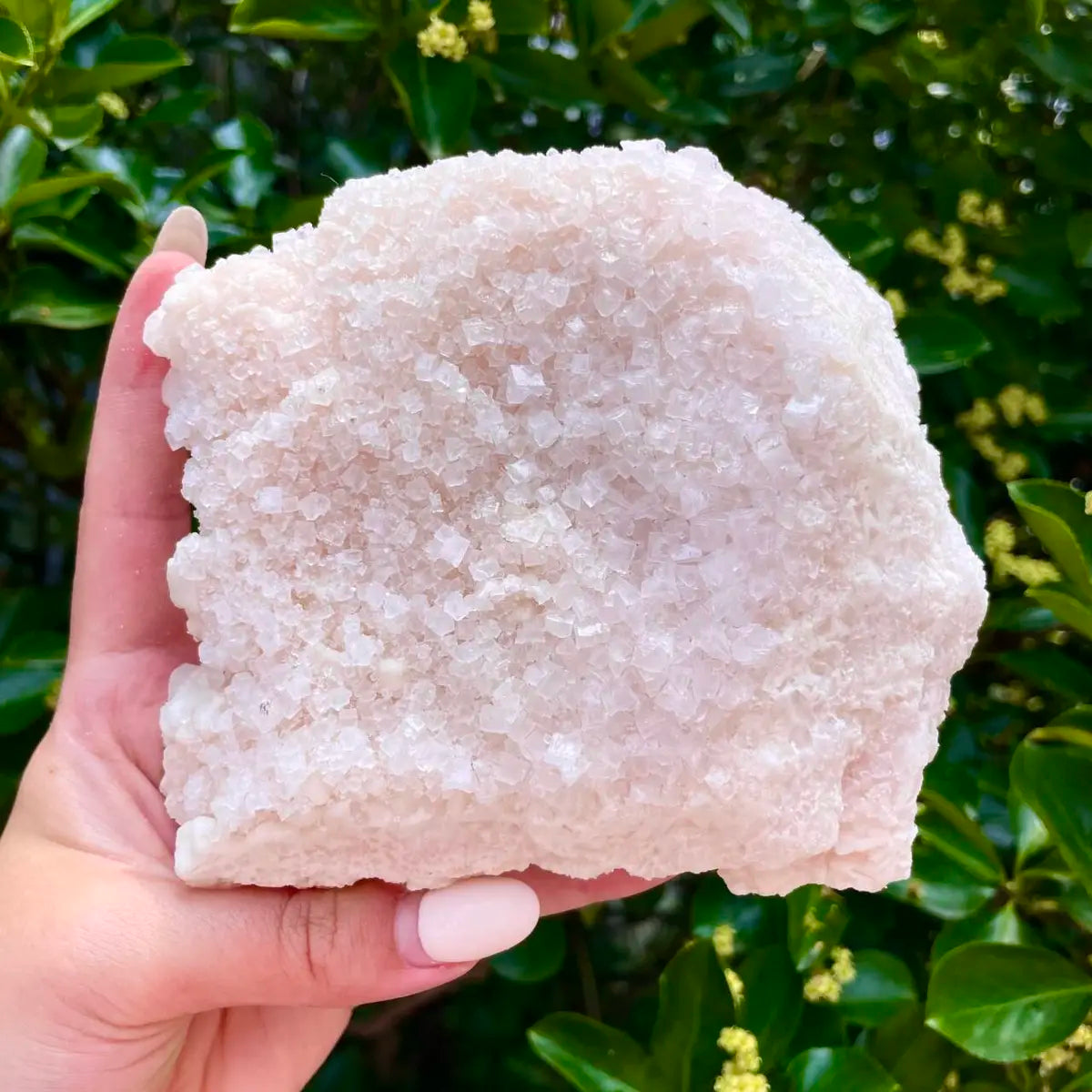 American Light Pink Halite Crystal Cluster | Natural Pink Salt Mineral Specimen from USA | 780 g | 12*13*5 cm