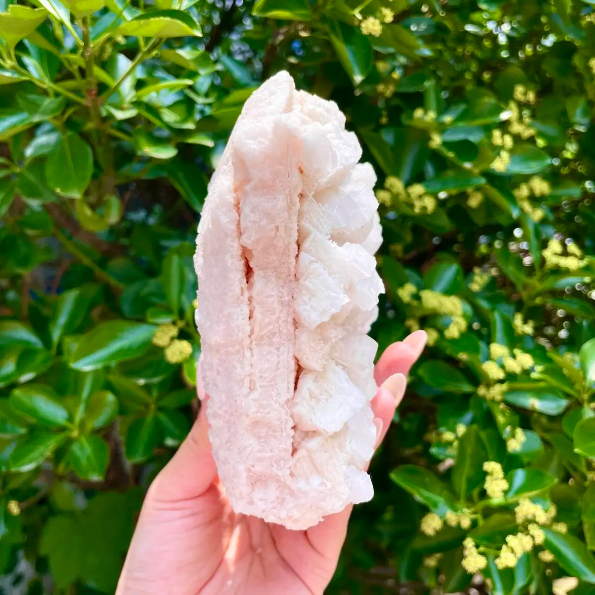 American Light Pink Halite Crystal Cluster | Natural Pink Salt Mineral Specimen from USA | 780 g | 12*13*5 cm