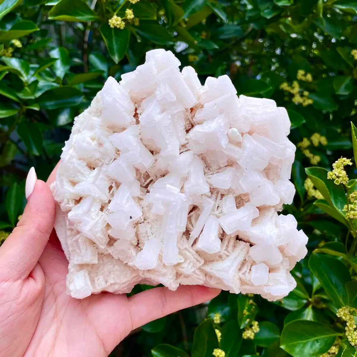 American Light Pink Halite Crystal Cluster | Natural Pink Salt Mineral Specimen from USA | 780 g | 12*13*5 cm