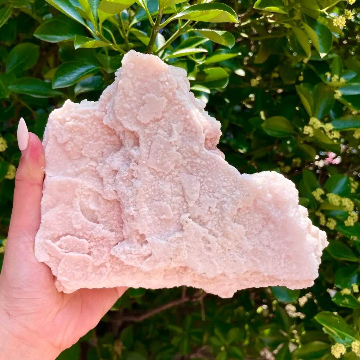 American Light Pink Halite Crystal Cluster | Natural Pink Salt Mineral Specimen from USA | 920 g | 7*4*5.5 cm