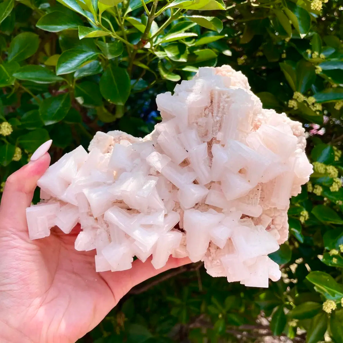 American Light Pink Halite Crystal Cluster | Natural Pink Salt Mineral Specimen from USA | 920 g | 7*4*5.5 cm