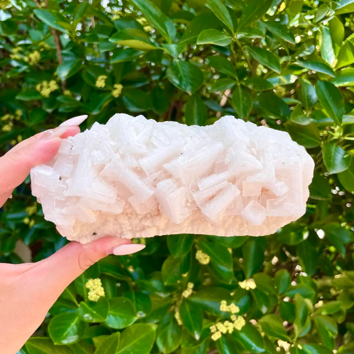 American Light Pink Halite Crystal Cluster | Natural Pink Salt Mineral Specimen from USA | 450 g | 15*6*5 cm
