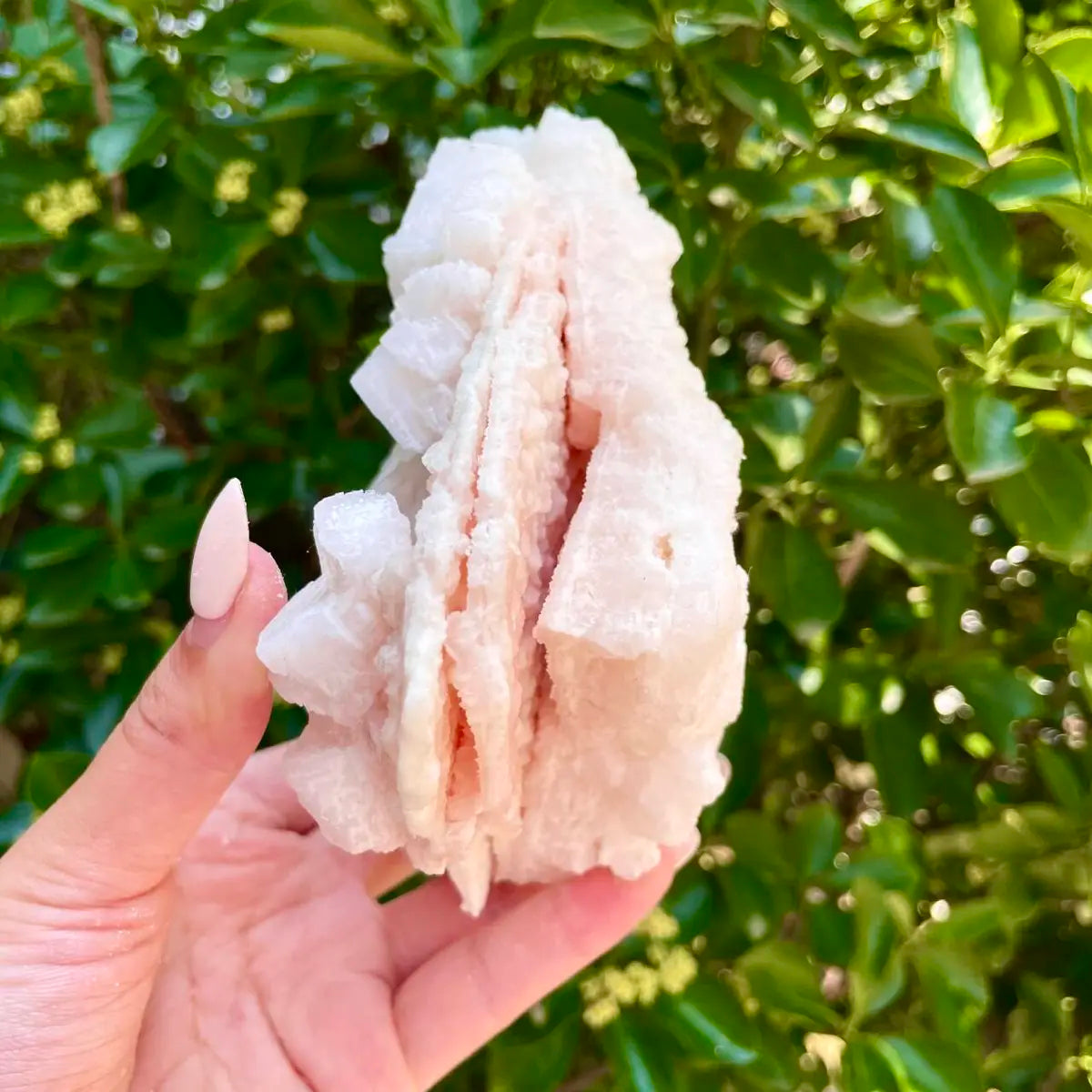 American Light Pink Halite Crystal Cluster | Natural Pink Salt Mineral Specimen from USA | 590 g | 14*12*6.5 cm