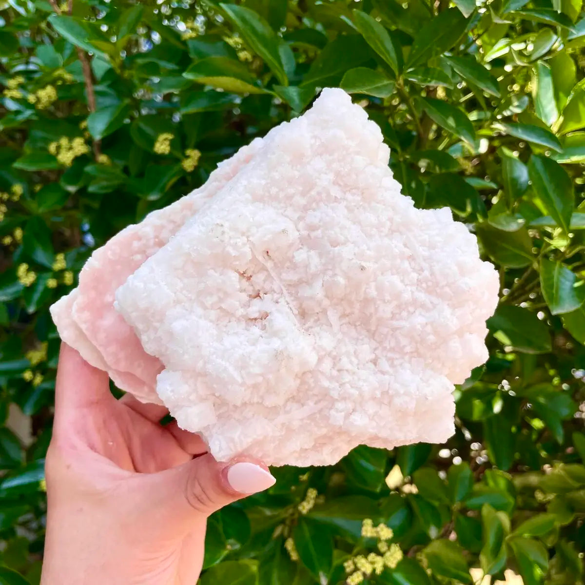 American Light Pink Halite Crystal Cluster | Natural Pink Salt Mineral Specimen from USA | 590 g | 14*12*6.5 cm