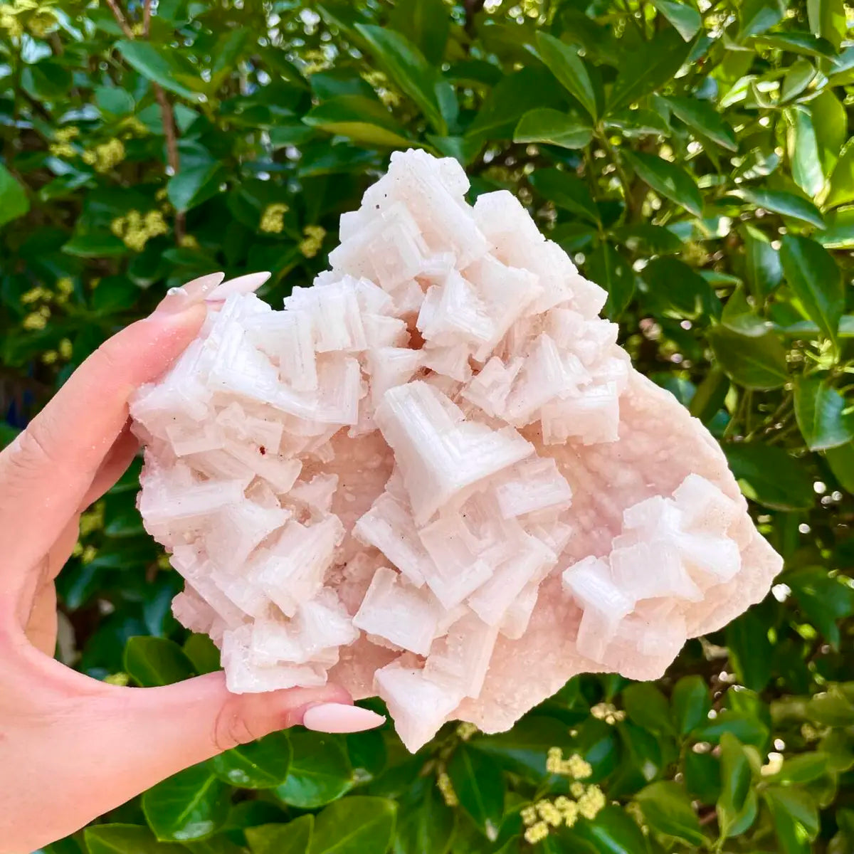 American Light Pink Halite Crystal Cluster | Natural Pink Salt Mineral Specimen from USA | 590 g | 14*12*6.5 cm