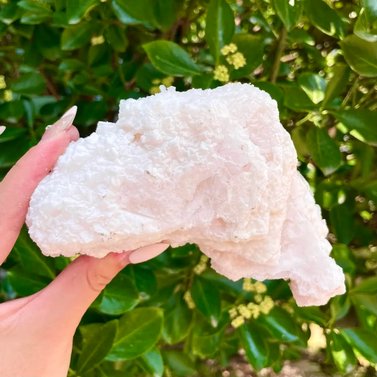 American Light Pink Halite Crystal Cluster | Natural Pink Salt Mineral Specimen from USA | 350 g | 13.5*8.5*5 cm