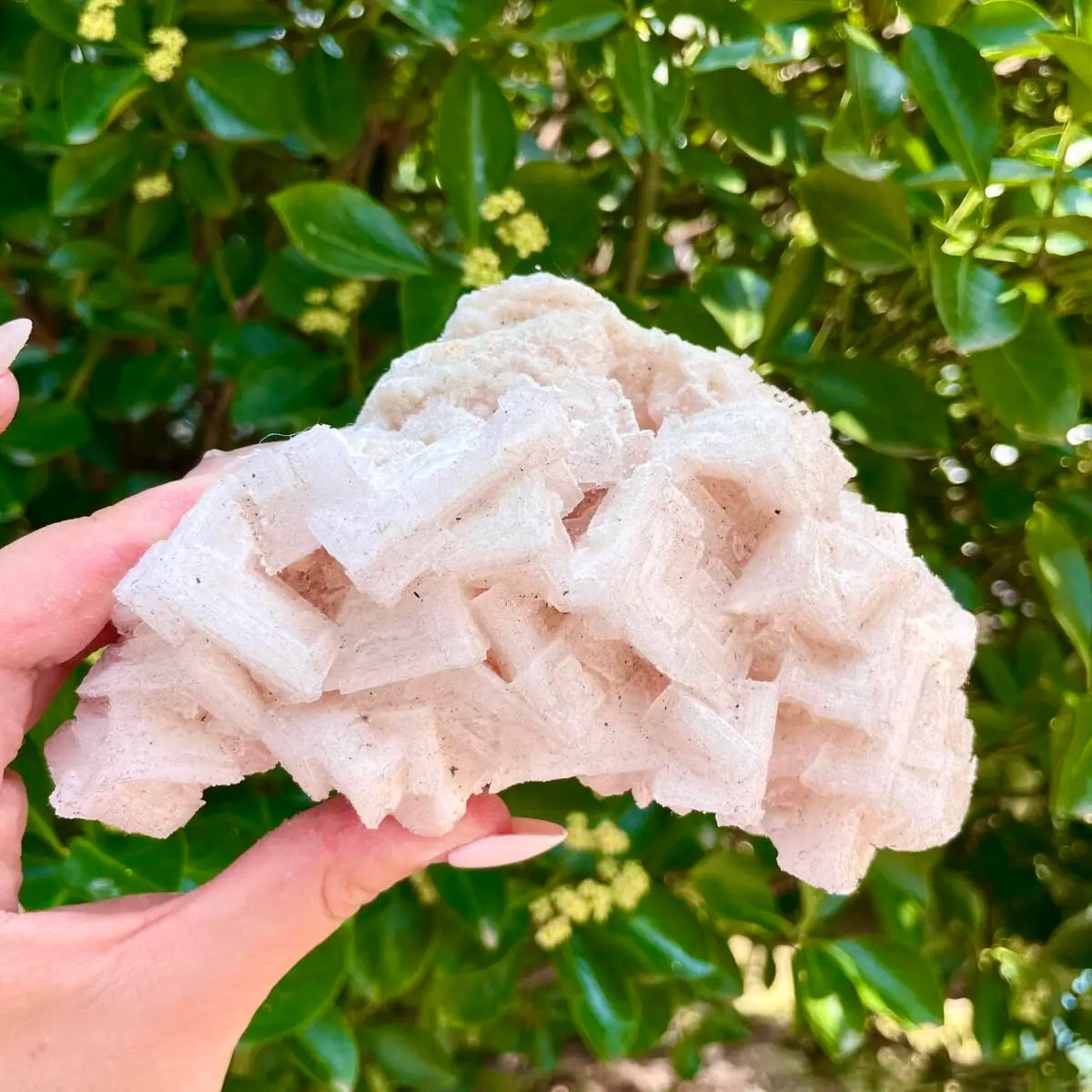 American Light Pink Halite Crystal Cluster | Natural Pink Salt Mineral Specimen from USA | 350 g | 13.5*8.5*5 cm