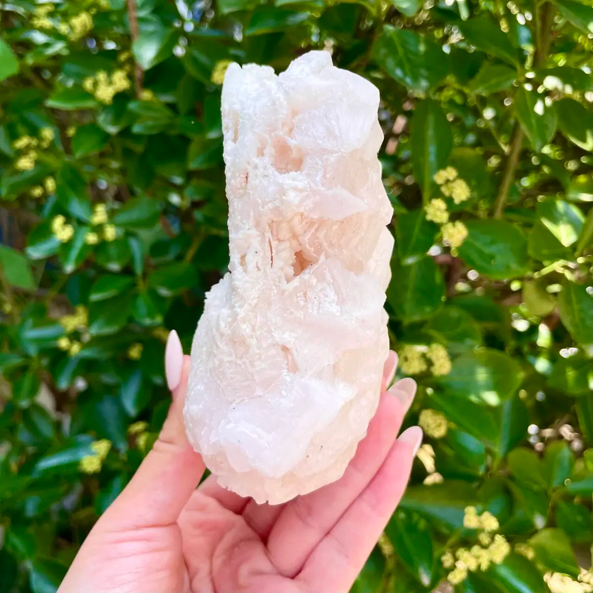 American Light Pink Halite Crystal Cluster | Natural Pink Salt Mineral Specimen from USA | 460 g | 13*10*4.5 cm