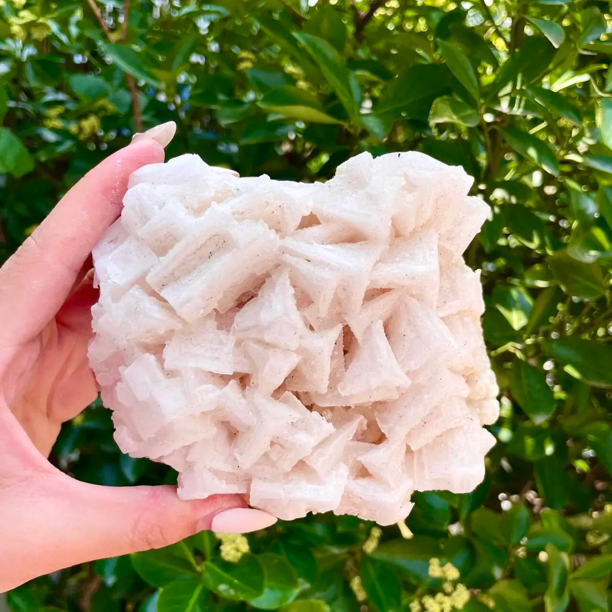 American Light Pink Halite Crystal Cluster | Natural Pink Salt Mineral Specimen from USA | 460 g | 13*10*4.5 cm