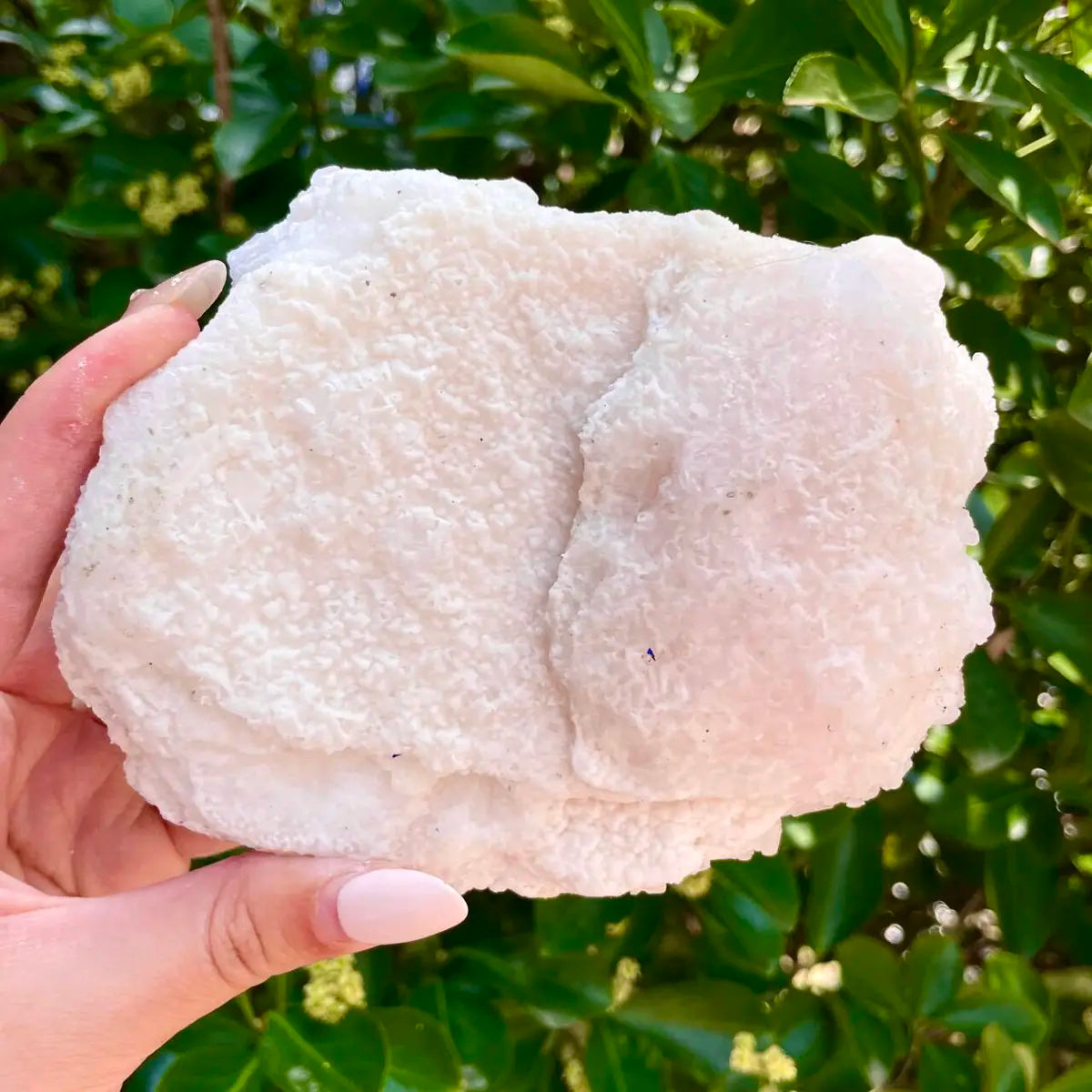 American Light Pink Halite Crystal Cluster | Natural Pink Salt Mineral Specimen from USA | 460 g | 13*10*4.5 cm