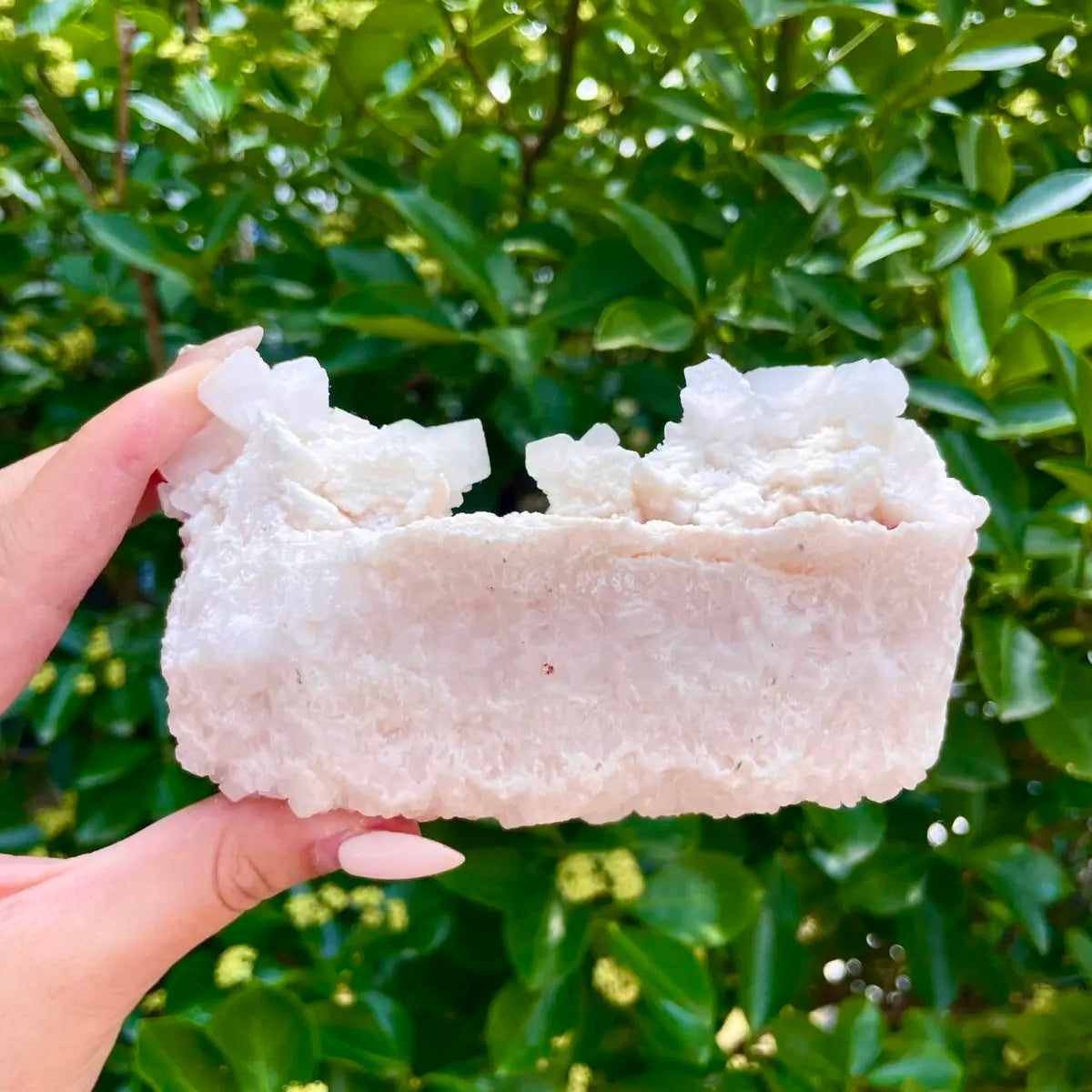 American Light Pink Halite Crystal Cluster | Natural Pink Salt Mineral Specimen from USA | 380 g | 12*7*5.5 cm