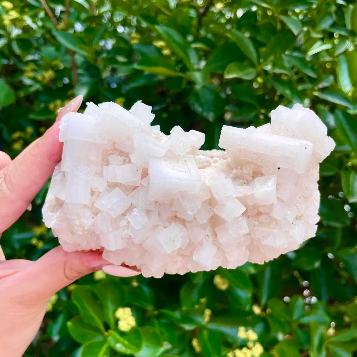 American Light Pink Halite Crystal Cluster | Natural Pink Salt Mineral Specimen from USA | 380 g | 12*7*5.5 cm