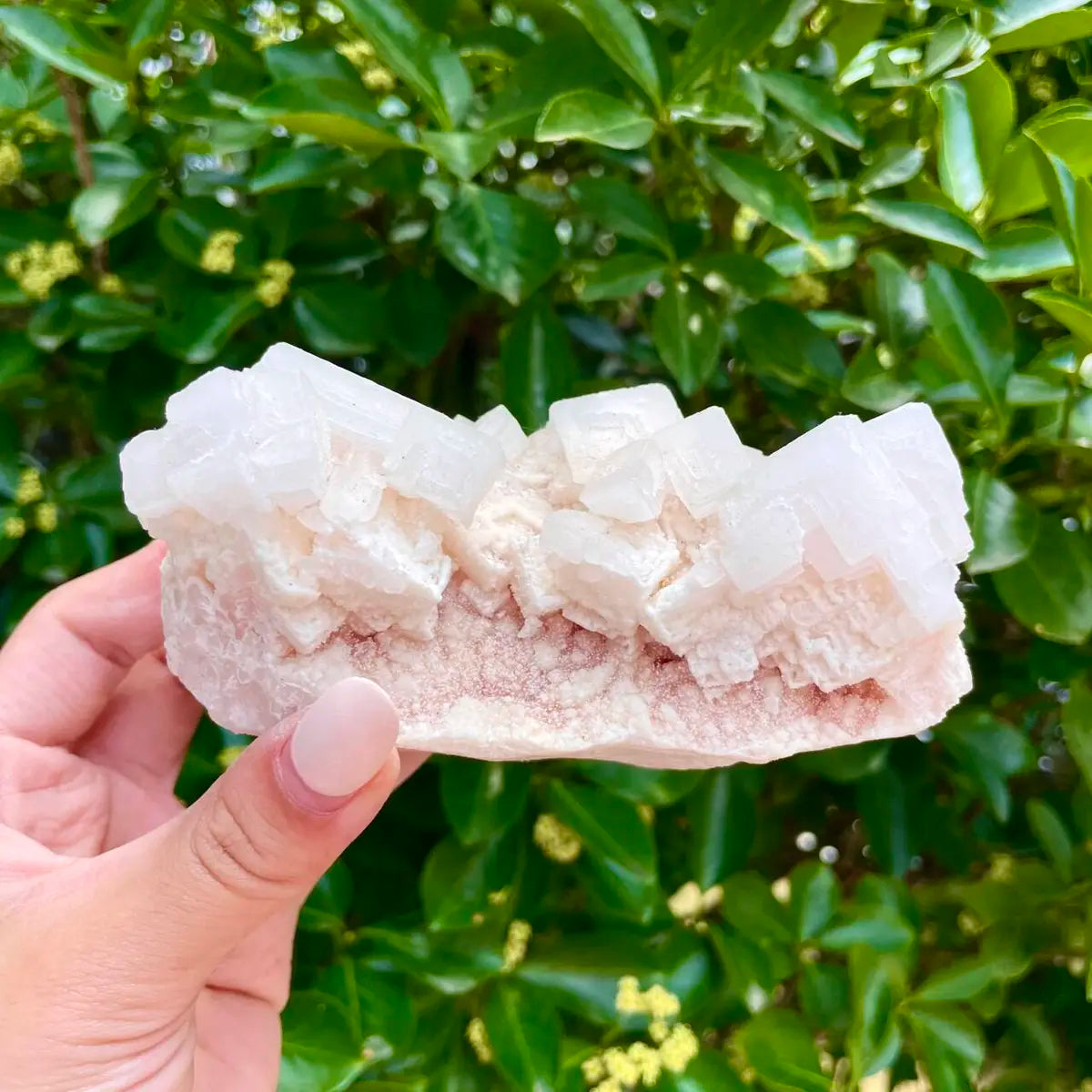 American Light Pink Halite Crystal Cluster | Natural Pink Salt Mineral Specimen from USA | 380 g | 12*7*5.5 cm