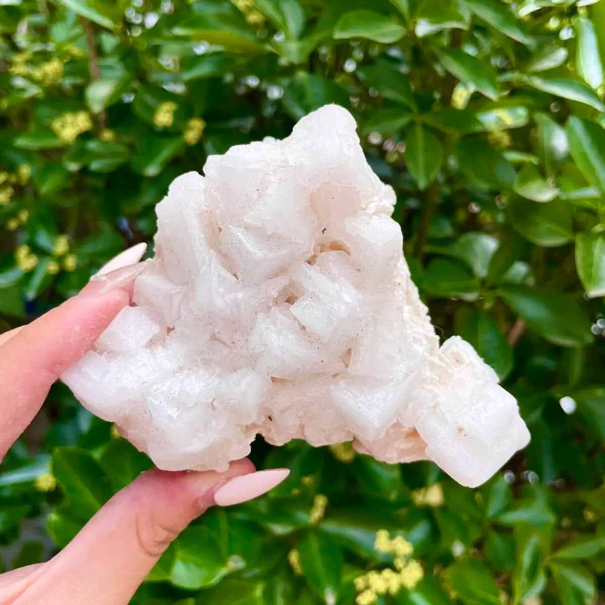 American Light Pink Halite Crystal Cluster | Natural Pink Salt Mineral Specimen from USA | 290 g | 8*11*5 cm