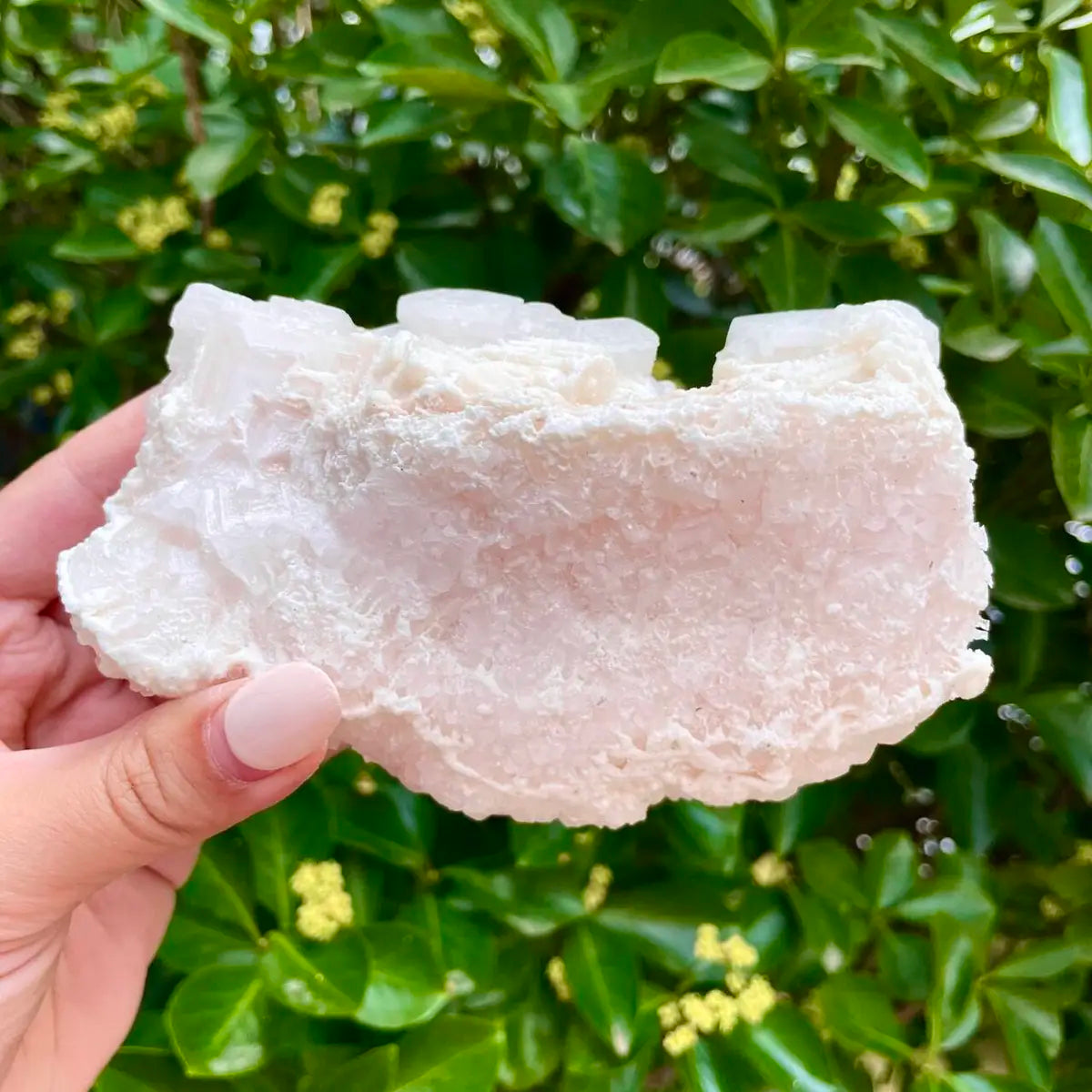 American Light Pink Halite Crystal Cluster | Natural Pink Salt Mineral Specimen from USA | 430 g | 13*8*5.5 cm