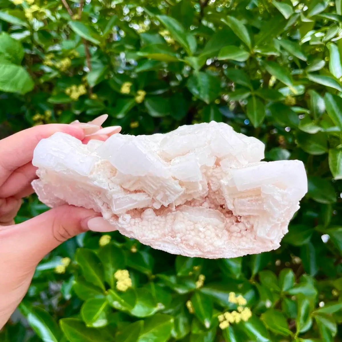American Light Pink Halite Crystal Cluster | Natural Pink Salt Mineral Specimen from USA | 430 g | 13*8*5.5 cm