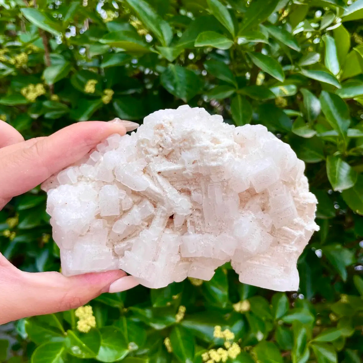 American Light Pink Halite Crystal Cluster | Natural Pink Salt Mineral Specimen from USA | 430 g | 13*8*5.5 cm