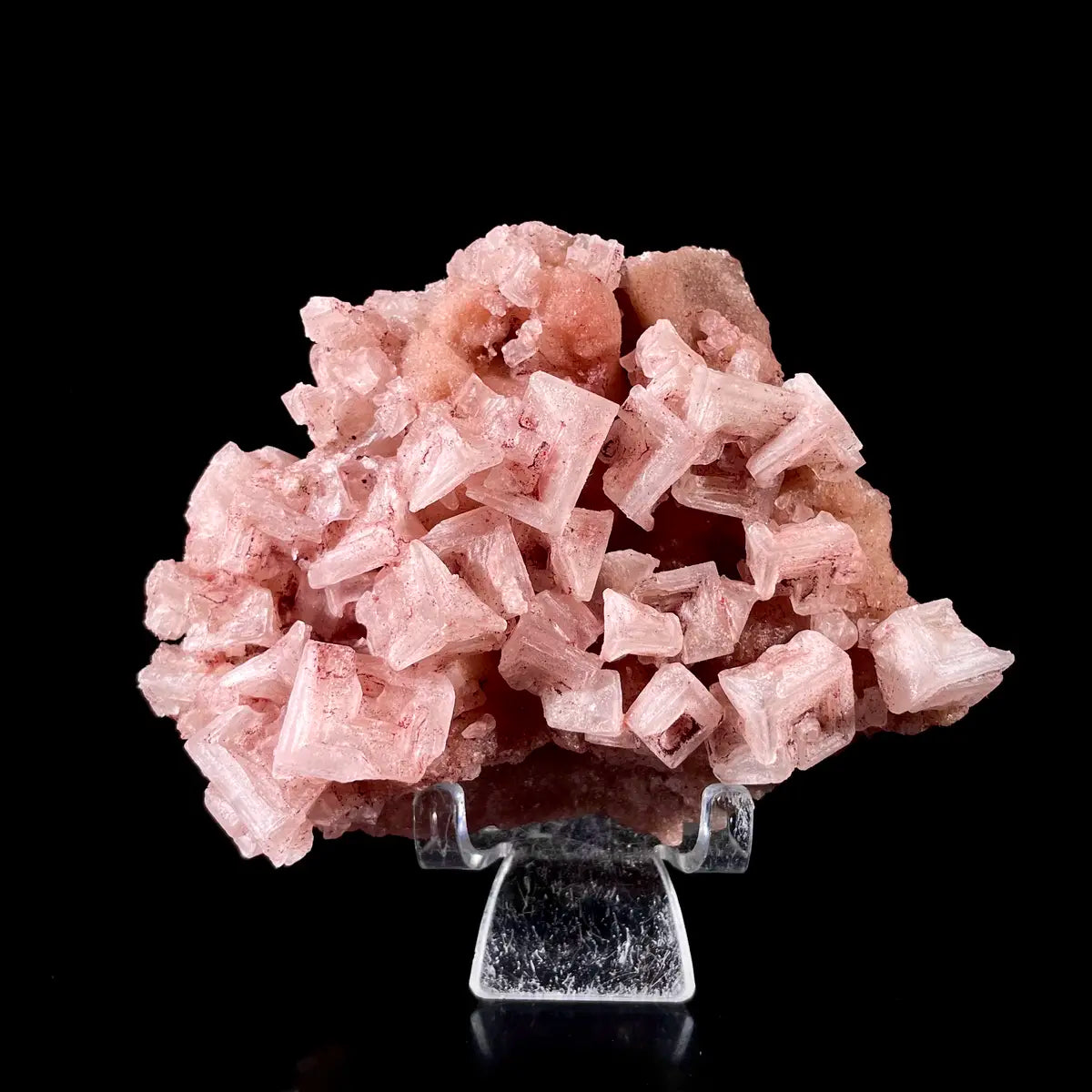 Pink Halite | Natural Bladed Halite Mineral Specimen | Rose-Form Crystal Formation | 220 g | 10.5*8*4.5 cm