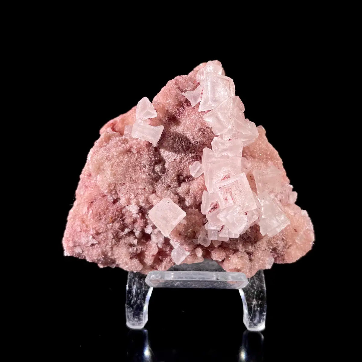 Pink Halite | Natural Bladed Halite Mineral Specimen | Rose-Form Crystal Formation | 110 g | 7*7*3.5 cm