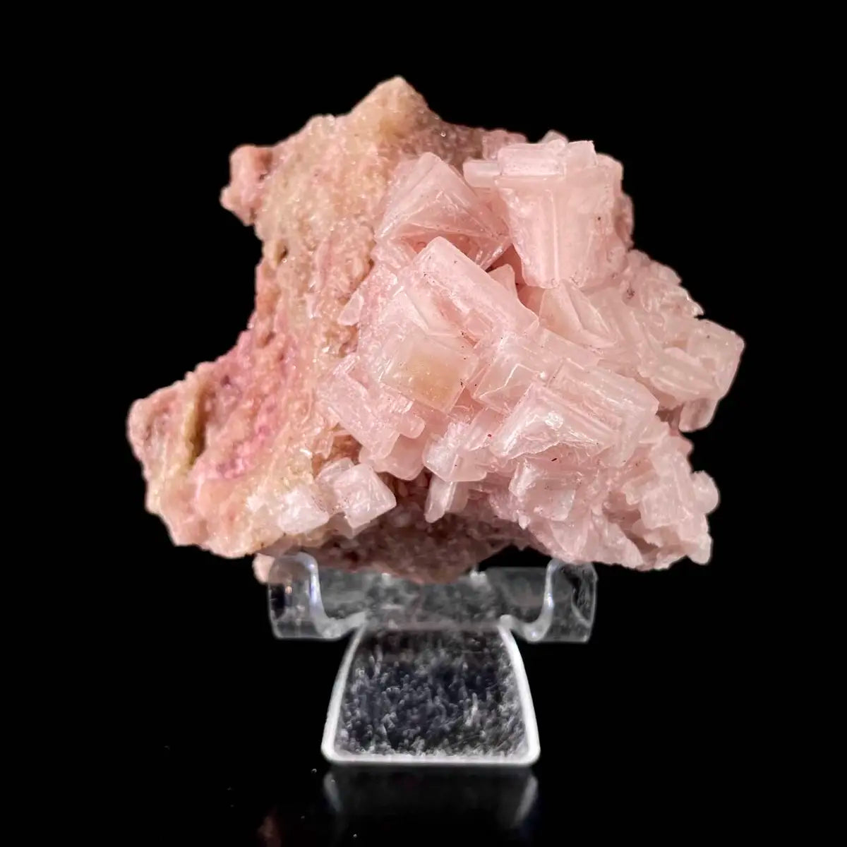Pink Halite | Natural Bladed Halite Mineral Specimen | Rose-Form Crystal Formation | 170 g | 8.5*7.5*6 cm