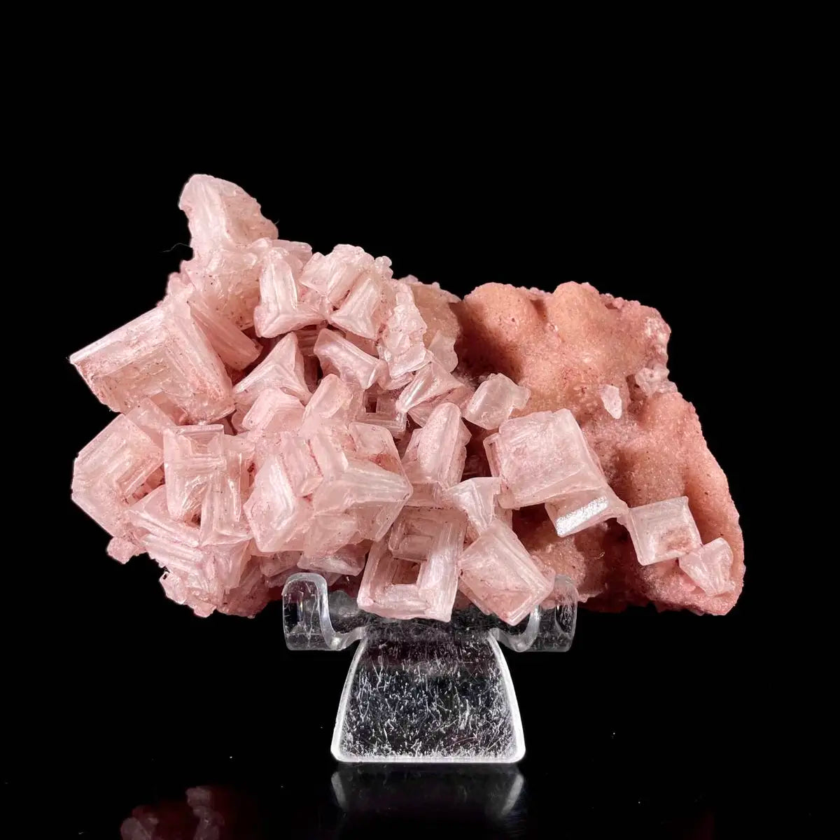 Pink Halite | Natural Bladed Halite Mineral Specimen | Rose-Form Crystal Formation | 200 g | 11*7*4 cm
