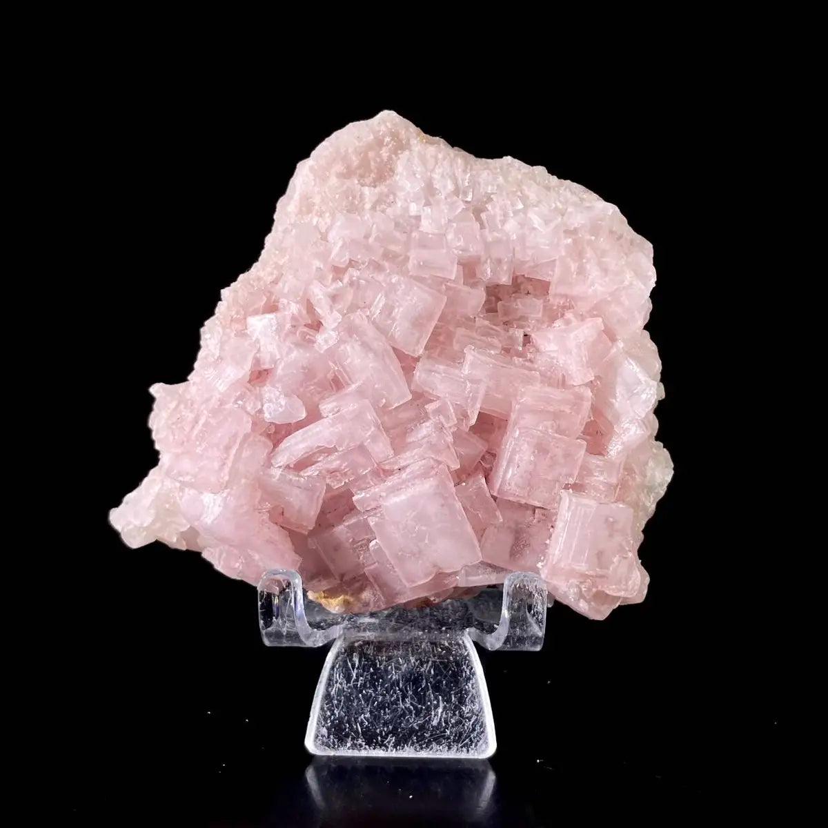 Pink Halite | Natural Bladed Halite Mineral Specimen | Rose-Form Crystal Formation | 200 g | 10*9.5*3.5 cm