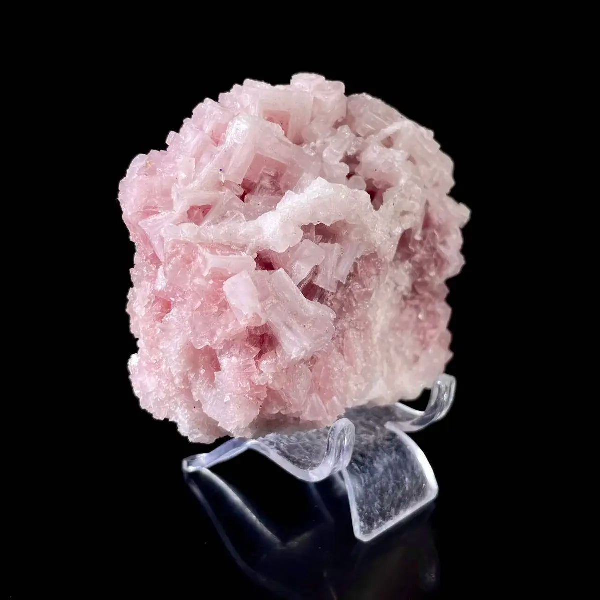 Pink Halite | Natural Bladed Halite Mineral Specimen | Rose-Form Crystal Formation | 240 g | 10*8*4.5 cm